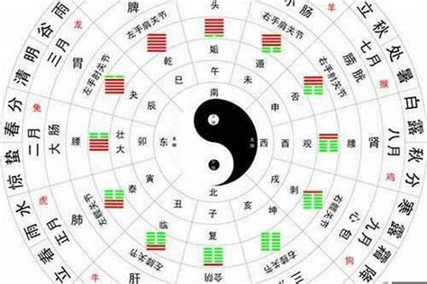 查金木水火土|金木水火土五行表，你是哪一年出生，對照一下看看自。